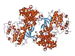 1h27: CDK2/CYCLIN A IN COMPLEX WITH AN 11-RESIDUE RECRUITMENT PEPTIDE FROM P27