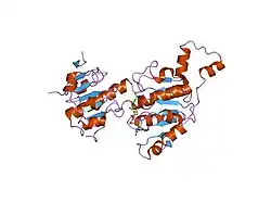 1hl3: CTBP/BARS IN TERNARY COMPLEX WITH NAD(H) AND PIDLSKK PEPTIDE