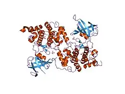 1i09: STRUCTURE OF GLYCOGEN SYNTHASE KINASE-3 (GSK3B)