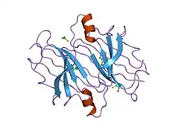 1iik: CRYSTAL STRUCTURE OF THE TRANSTHYRETIN MUTANT TTR Y114C-DATA COLLECTED AT CRYO TEMPERATURE