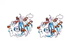 1j9w: Solution Structure of the CAI Michigan 1 Variant