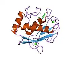 1jj9: Crystal Structure of MMP8-Barbiturate Complex Reveals Mechanism for Collagen Substrate Recognition