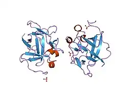 1jt3: Human Acidic Fibroblast Growth Factor. 141 Amino Acid Form with Amino Histidine Tag AND LEU 73 REPLACED BY VAL (L73V)