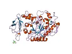 1kgw: THREE DIMENSIONAL STRUCTURE ANALYSIS OF THE R337Q VARIANT OF HUMAN PANCREATIC ALPHA-MYLASE