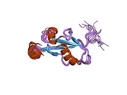 1klv: Solution Structure and Backbone Dynamics of GABARAP, GABAA Receptor associated protein