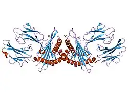 1ktl: The human non-classical major histocompatibility complex molecule HLA-E