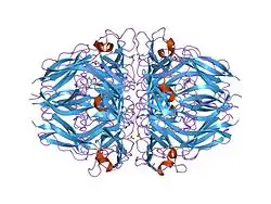 1li1: The 1.9-A crystal structure of the noncollagenous (NC1) domain of human placenta collagen IV shows stabilization via a novel type of covalent Met-Lys cross-link