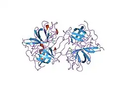 1lmw: LMW U-PA STRUCTURE COMPLEXED WITH EGRCMK (GLU-GLY-ARG CHLOROMETHYL KETONE)