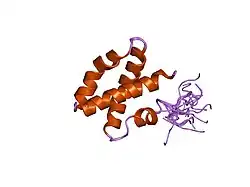 1m12: NMR solution structure of human Saposin C