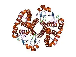 1md3: A folding mutant of human class pi glutathione transferase, created by mutating glycine 146 of the wild-type protein to alanine