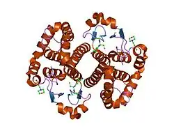 1md4: A folding mutant of human class pi glutathione transferase, created by mutating glycine 146 of the wild-type protein to valine