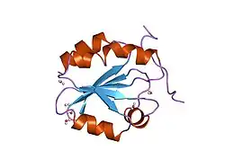 1mdi: HIGH RESOLUTION SOLUTION NMR STRUCTURE OF MIXED DISULFIDE INTERMEDIATE BETWEEN MUTANT HUMAN THIOREDOXIN AND A 13 RESIDUE PEPTIDE COMPRISING ITS TARGET SITE IN HUMAN NFKB