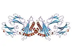 1mhe: THE HUMAN NON-CLASSICAL MAJOR HISTOCOMPATIBILITY COMPLEX MOLECULE HLA-E