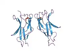 1my7: NF-kappaB p65 subunit dimerization domain homodimer N202R mutation