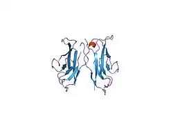 1nci: STRUCTURAL BASIS OF CELL-CELL ADHESION BY CADHERINS