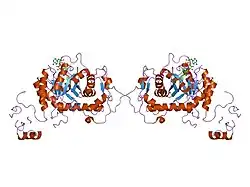 1nfb: Ternary complex of the human type II Inosine Monophosphate Dedhydrogenase with 6Cl-IMP and NAD