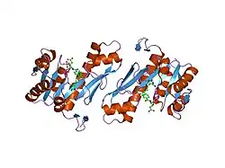 1njs: human GAR Tfase in complex with hydrolyzed form of 10-trifluoroacetyl-5,10-dideaza-acyclic-5,6,7,8-tetrahydrofolic acid