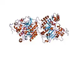 1nop: Crystal structure of human tyrosyl-DNA phosphodiesterase (Tdp1) in complex with vanadate, DNA and a human topoisomerase I-derived peptide