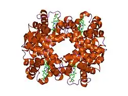 1o1m: Deoxy hemoglobin (A-GLYGLYGLY-C:V1M,L29F,H58Q B,D:V1M,V67W)