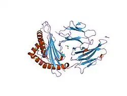 1ogt: CRYSTAL STRUCTURE OF HLA-B*2705 COMPLEXED WITH THE VASOACTIVE INTESTINAL PEPTIDE TYPE 1 RECEPTOR (VIPR) PEPTIDE (RESIDUES 400-408)