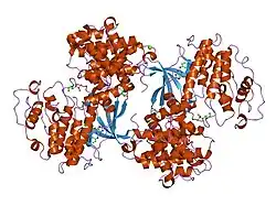 1oi9: STRUCTURE OF HUMAN THR160-PHOSPHO CDK2/CYCLIN A COMPLEXED WITH A 6-CYCLOHEXYLMETHYLOXY-2-ANILINO-PURINE INHIBITOR