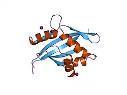 1oj5: CRYSTAL STRUCTURE OF THE NCO-A1 PAS-B DOMAIN BOUND TO THE STAT6 TRANSACTIVATION DOMAIN LXXLL MOTIF