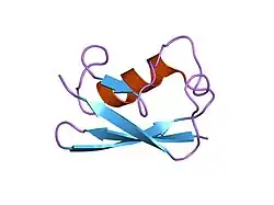 1p0r: Solution Structure of UBL5 a human Ubiquitin-Like Protein