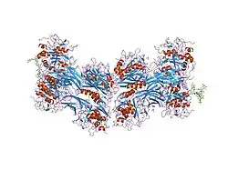 1p8j: CRYSTAL STRUCTURE OF THE PROPROTEIN CONVERTASE FURIN