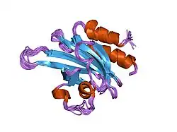 1pfl: REFINED SOLUTION STRUCTURE OF HUMAN PROFILIN I