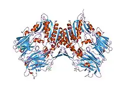 1pfq: crystal structure of human apo dipeptidyl peptidase IV / CD26