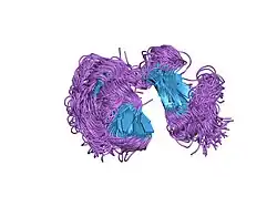 1qo6: SOLUTION STRUCTURE OF A PAIR OF MODULES FROM THE GELATIN-BINDING DOMAIN OF FIBRONECTIN