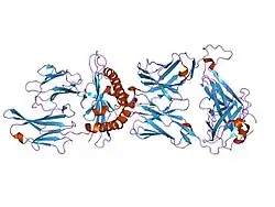 1qrn: CRYSTAL STRUCTURE OF HUMAN A6 TCR COMPLEXED WITH HLA-A2 BOUND TO ALTERED HTLV-1 TAX PEPTIDE P6A