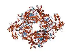 1r4n: APPBP1-UBA3-NEDD8, an E1-ubiquitin-like protein complex with ATP