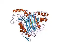1r5h: Crystal Structure of MetAP2 complexed with A320282