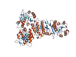 1rbq: Human GAR Tfase complex structure with 10-(trifluoroacetyl)-5,10-dideazaacyclic-5,6,7,8-tetrahydrofolic acid