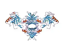 1rlb: RETINOL BINDING PROTEIN COMPLEXED WITH TRANSTHYRETIN