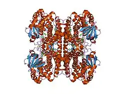 1rx0: Crystal structure of isobutyryl-CoA dehydrogenase complexed with substrate/ligand.