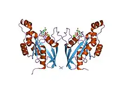 1ryh: Alternative Splicing of Rac1 Generates Rac1b, a Self-activating GTPase