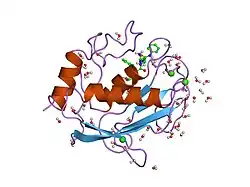 1sln: CRYSTAL STRUCTURE OF THE CATALYTIC DOMAIN OF HUMAN FIBROBLAST STROMELYSIN-1 INHIBITED WITH THE N-CARBOXY-ALKYL INHIBITOR L-702,842