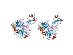 1tfx: COMPLEX OF THE SECOND KUNITZ DOMAIN OF TISSUE FACTOR PATHWAY INHIBITOR WITH PORCINE TRYPSIN