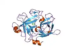 1u6q: Substituted 2-Naphthamadine inhibitors of Urokinase