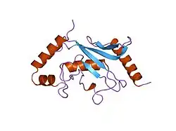 1u9a: HUMAN UBIQUITIN-CONJUGATING ENZYME UBC9