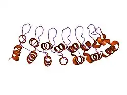 1uoh: HUMAN GANKYRIN