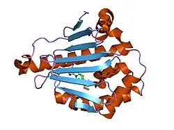 1uye: HUMAN HSP90-ALPHA WITH 8-(2-CHLORO-3,4,5-TRIMETHOXY-BENZYL) -9-PENT-4-YLNYL-9H-PURIN-6-YLAMINE
