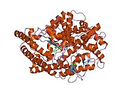 1uze: COMPLEX OF THE ANTI-HYPERTENSIVE DRUG ENALAPRILAT AND THE HUMAN TESTICULAR ANGIOTENSIN I-CONVERTING ENZYME