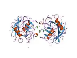 1vbt: Structure of cyclophilin complexed with sulfur-substituted tetrapeptide AAPF