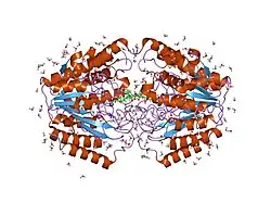 1vkg: Crystal Structure of Human HDAC8 complexed with CRA-19156