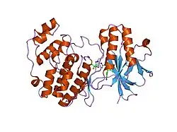 1wbn: Fragment based p38 inhibitors