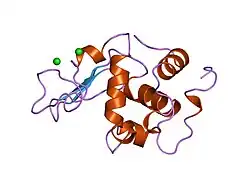 1wqp: CONTRIBUTION OF HYDROGEN BONDS TO THE CONFORMATIONAL STABILITY OF HUMAN LYSOZYME