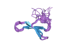 1wr4: Solution structure of the second WW domain of Nedd4-2